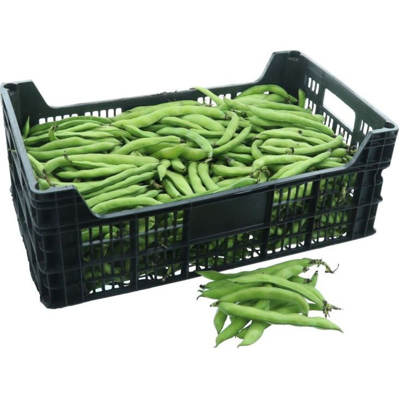 FEVE DE MARAIS 5KG